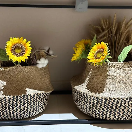 Xpce D Carlos Gardens Apartment *